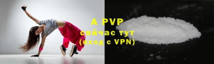 твердый Богданович