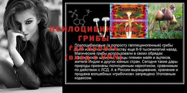 меф Богородицк