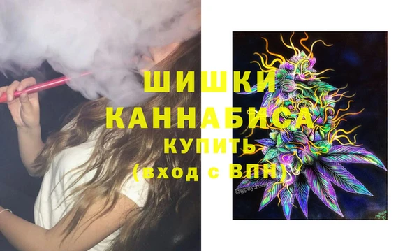 твердый Богданович
