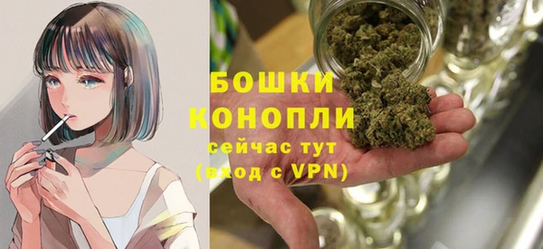 твердый Богданович