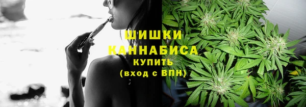 твердый Богданович