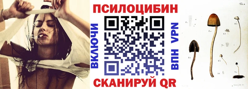 купить закладку  Вуктыл  Галлюциногенные грибы прущие грибы 